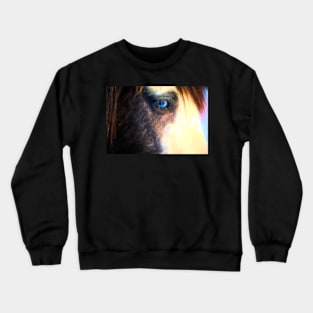 Equidae#3 Crewneck Sweatshirt